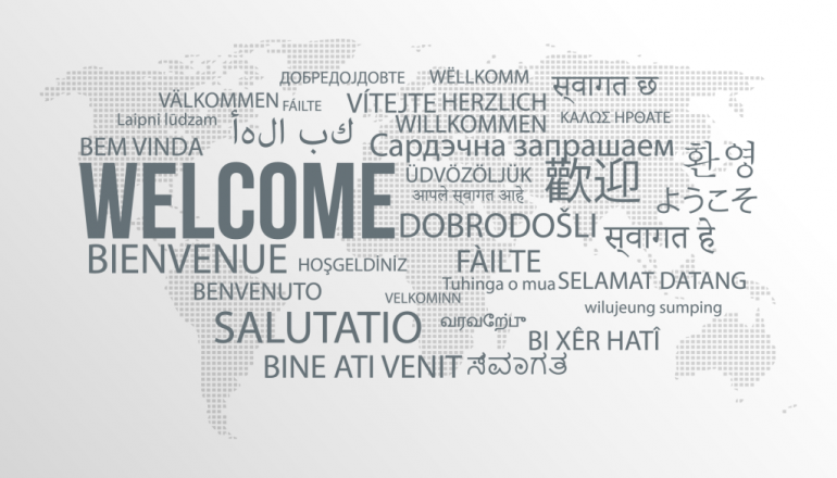 Professional Translation Services