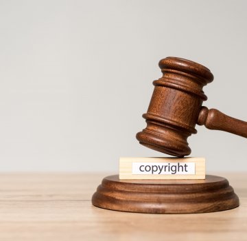 Intellectual Property Consultancy