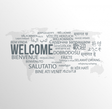 Professional Translation Services